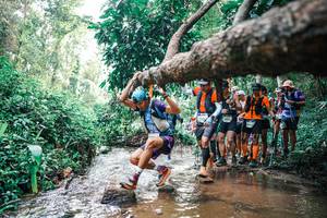 BIB: 
                            <button type="button" onclick="openModal(25371793)" class="btn btn-primary btn-sm float-right btn-popup" data-toggle="modal" data-target=".modal-high-quality">
                        <i class="fas fa-shopping-cart"></i> Add to Cart
                    </button>
                                            <button type="button" onclick="isThisMe(25371793, true)" class="btn btn-success btn-sm float-right btn-popup btn-isme hidden" data-toggle="tooltip" data-placement="bottom" title="นี่คือรูปของคุณใช่ไหม คลิกที่นี่เพื่อเอาเข้าอัลบั้ม">
                        <i class="fas fa-plus"></i> Add to album
                    </button>
                    <button type="button" onclick="isThisMe(25371793, false)" class="btn btn-warning btn-sm float-right btn-popup btn-isnotme hidden">
                        <i class="fas fa-ban"></i> Remove from album
                    </button>